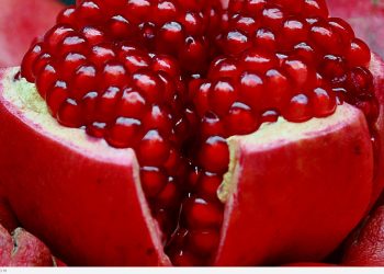 فوائد الرمان على الريق