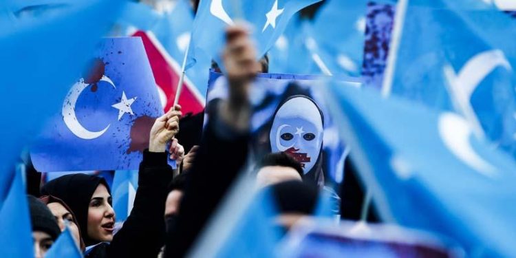 أكاديمي كندي: ممارسات الصين بحق الأويغور تفوق هتلر.. وتركيا صامتة!