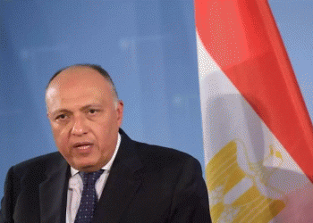 وزير الخارجية المصري: المشهد الليبي يتسم بالخطورة