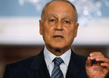 أبو الغيط يدعو لمواجهة توسع العلاقات الإسرائيلية في أفريقيا