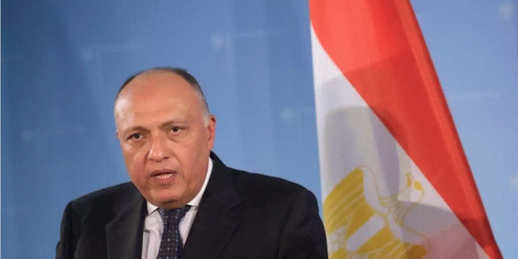 وزير الخارجية المصري: المشهد الليبي يتسم بالخطورة