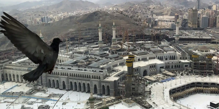 السعودية تعلن خلو المشاعر المقدسة من إصابات كورونا