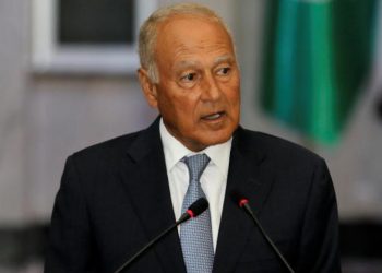 أبو الغيط يناشد العالم العربي مساندة لبنان