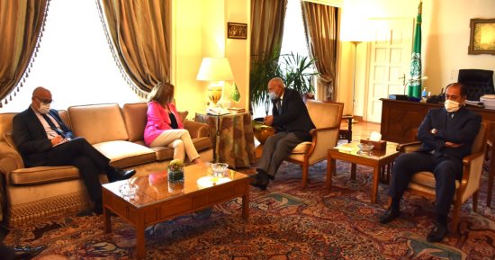 أبو الغيط يبحث مع ستيفاني وليامز تسوية الأزمة الليبية برعاية أممية