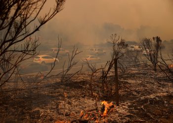 كاليفورنيا “تشتعل”.. والحرائق تلتهم الغابات خلال ساعات