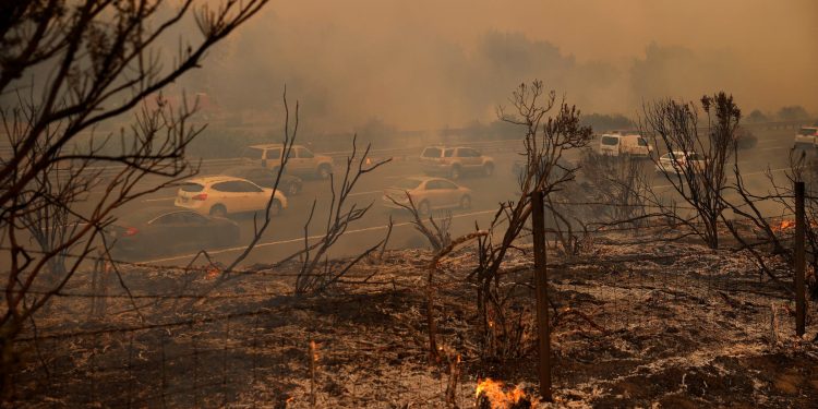 كاليفورنيا “تشتعل”.. والحرائق تلتهم الغابات خلال ساعات