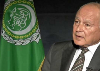 أبو الغيط يزور لبنان في غضون أيام