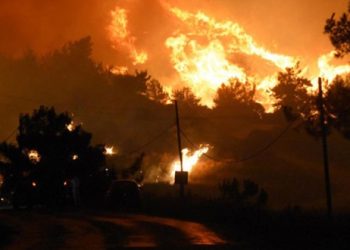 تركيا.. النيران تلتهم 300 هكتار من حدائق مندريس