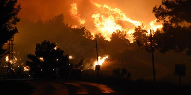 تركيا.. النيران تلتهم 300 هكتار من حدائق مندريس