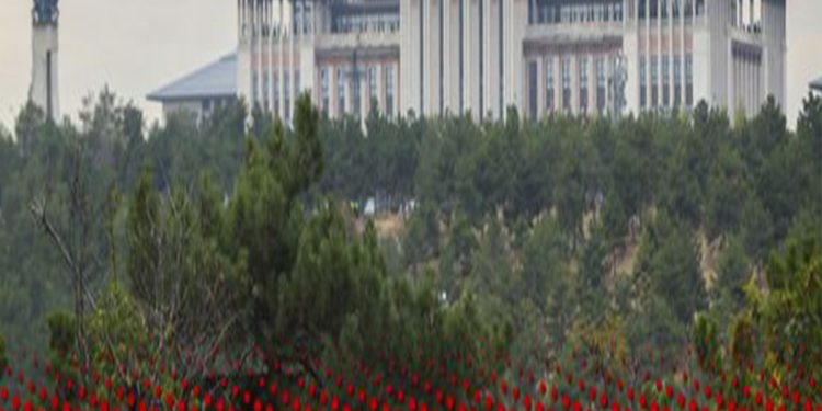 “القصر غير القانوني” يتصدر نتائج البحث في تركيا