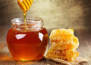 ارتفاع الطلب على عسل النحل في تركيا مع انتشار كورونا