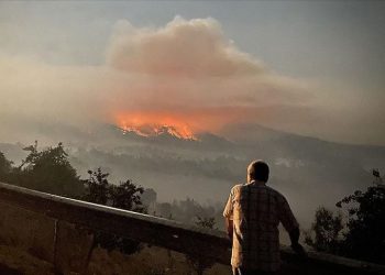 صعوبات تواجه إطفاء حريق شب في غابات أنقرة