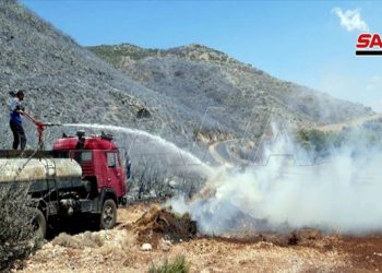 سوريا.. حريق ضخم يلتهم غابات في محافظتي اللاذقية وحماة