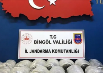 تركيا.. مصادرة 5 أطنان من الماريجوانا التي يريد أردوغان تشريع زراعتها