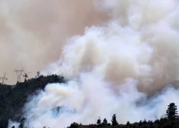 تركيا.. اندلاع حرائق غابات في ثلاث ولايات كبرى