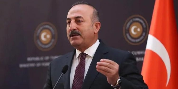 وزير خارجية تركيا يرد على هجوم النمسا على أردوغان