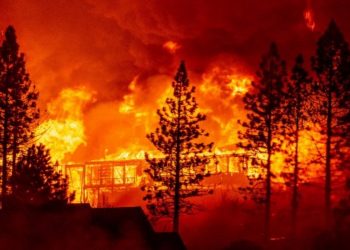 كاليفورنيا.. قتلى في الحرائق “الأكثر دموية” هذا العام