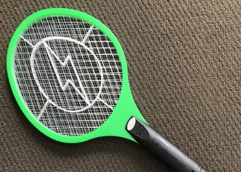 انفجار منزل في فرنسا بسبب بعوضة!