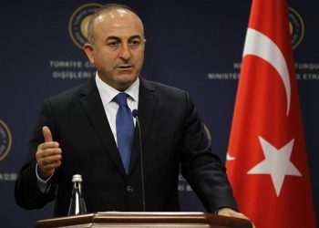 تركيا: مصر لم تعتد على حقوقنا في شرق المتوسط!