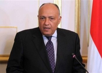 مصر: لن نفرط في نقطة من مياهنا ولا نقبل التدخلات التركية