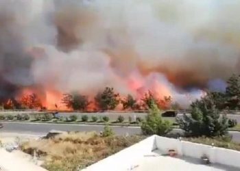 فيديو.. حرائق ضخمة تندلع جنوبي تركيا
