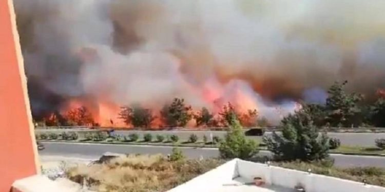 فيديو.. حرائق ضخمة تندلع جنوبي تركيا