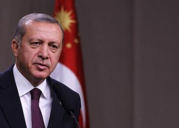 ألمانيا تكشف تزايد الاتصالات بين أردوغان وحركة الرؤية الوطنية