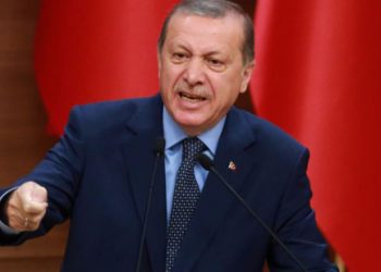 بروفيسور تركي: أردوغان ألغى الدستور وسنّ السلطنة