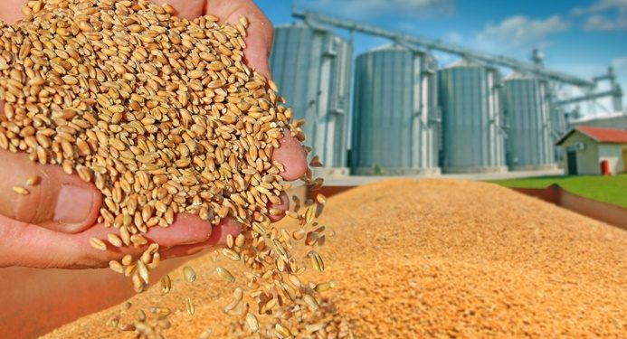 تركيا تلغي الضريبة الجمركية على القمح حتى نهاية العام