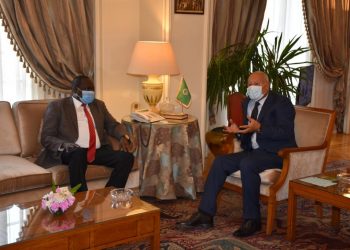 أبو الغيط يستقبل وزير الري لجنوب السودان