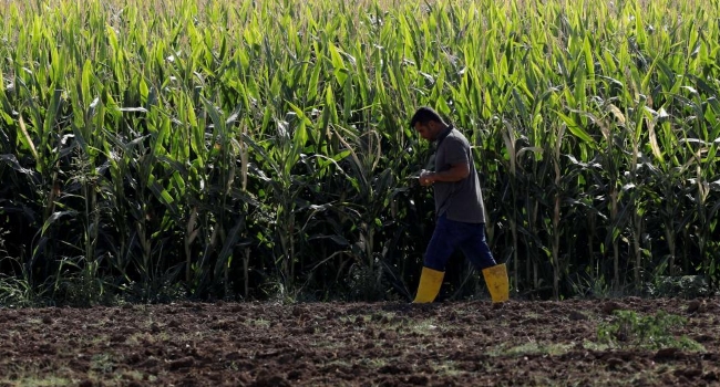 تركيا.. الحكومة تدعم الواردات الزراعية أكثر من المزارعين!
