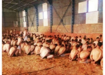 تركيا: تبرئة الطلاب العسكريين “المعذبين في إسطبل” من تهمة الانقلاب