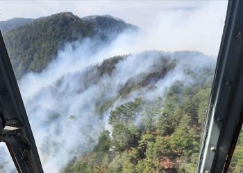 إخلاء 50 منزلا وتضرر هكتارين في حريق بغابتين جنوب تركيا