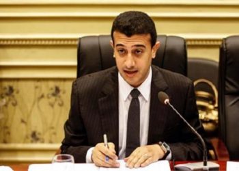 برلماني مصري: أردوغان يقدم على ممارسات “جنونية” بحق معارضيه!