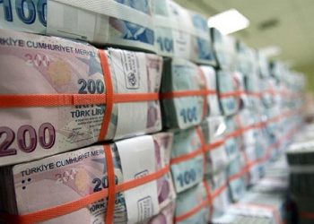 اقتصادي تركي: القروض المتعثرة في تركيا بلغت 14.3%