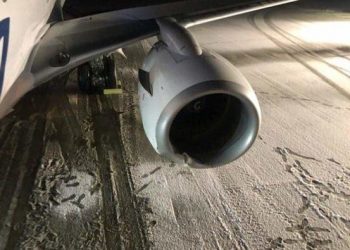 حادث غير مسبوق.. طائرة تصطدم بـ دُب !