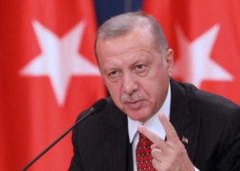 نبض تركيا: ألمانيا وجهت لأردوغان رسالة أوروبية بتفتيش السفينة التركية