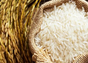 المزارع يدفع الثمن.. تركيا تخفض الضريبة على واردات الأرز