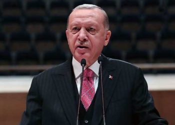 أردوغان يقترح على فرنسا منح الأرمن ثاني أكبر مدنها!