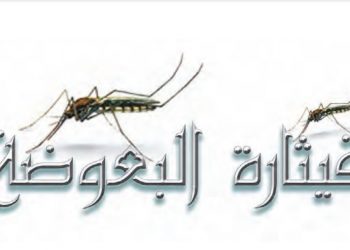 قيثارة البعوضة