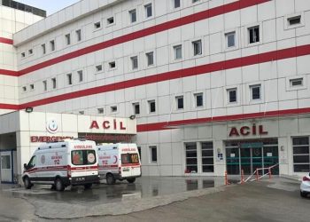 انبعث من رماده.. يتحقق في تركيا