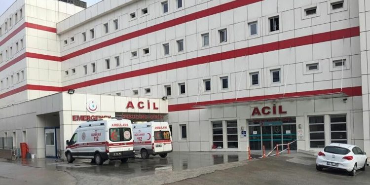 انبعث من رماده.. يتحقق في تركيا