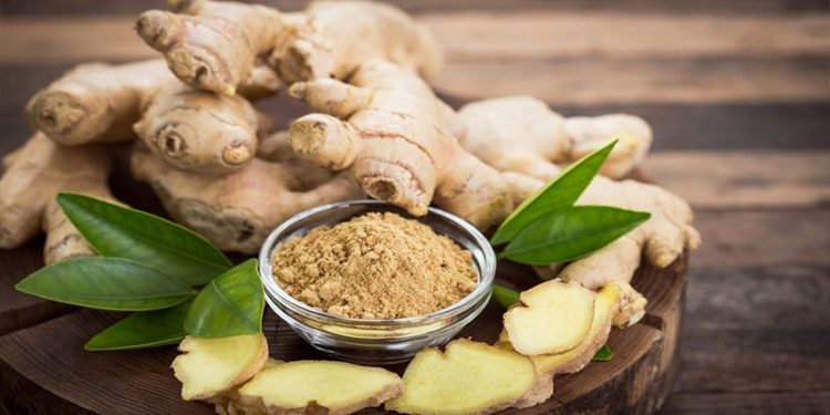 فوائد الزنجبيل الصحية