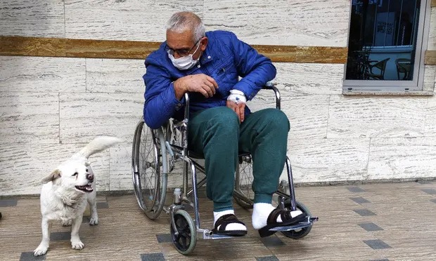 درس في الإخلاص من كلب في تركيا