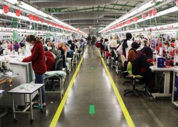 تركيا.. انخفاض أصول صندوق البطالة مع إعلان الحكومة تراجع عدد العاطلين