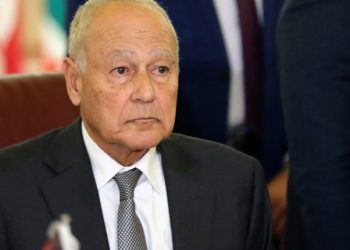 أبو الغيط يُرحب بتحديد موعد الانتخابات في فلسطين