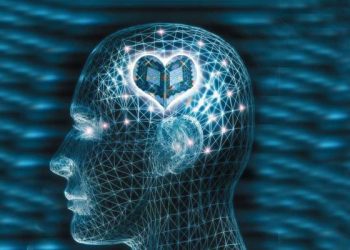 الإسلام بين العقل والقلب