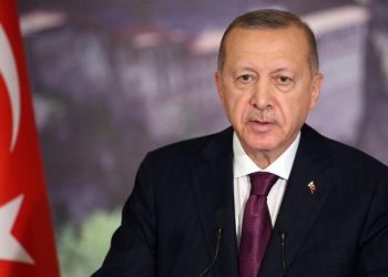 صحيفة تركية: مسودة الإصلاحات عرضت على أردوغان