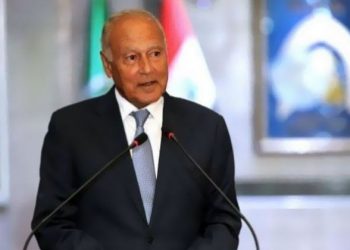 أبو الغيط يرحب بمخرجات القمة الخليجية في العلا