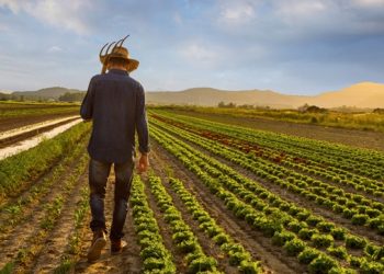 انخفاض عدد المزارعين في تركيا